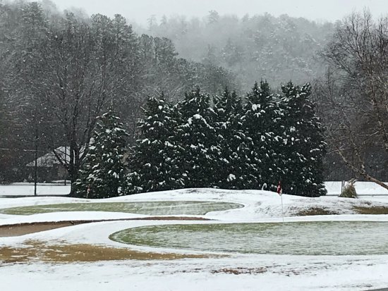 snowy-trees-on-the-golf